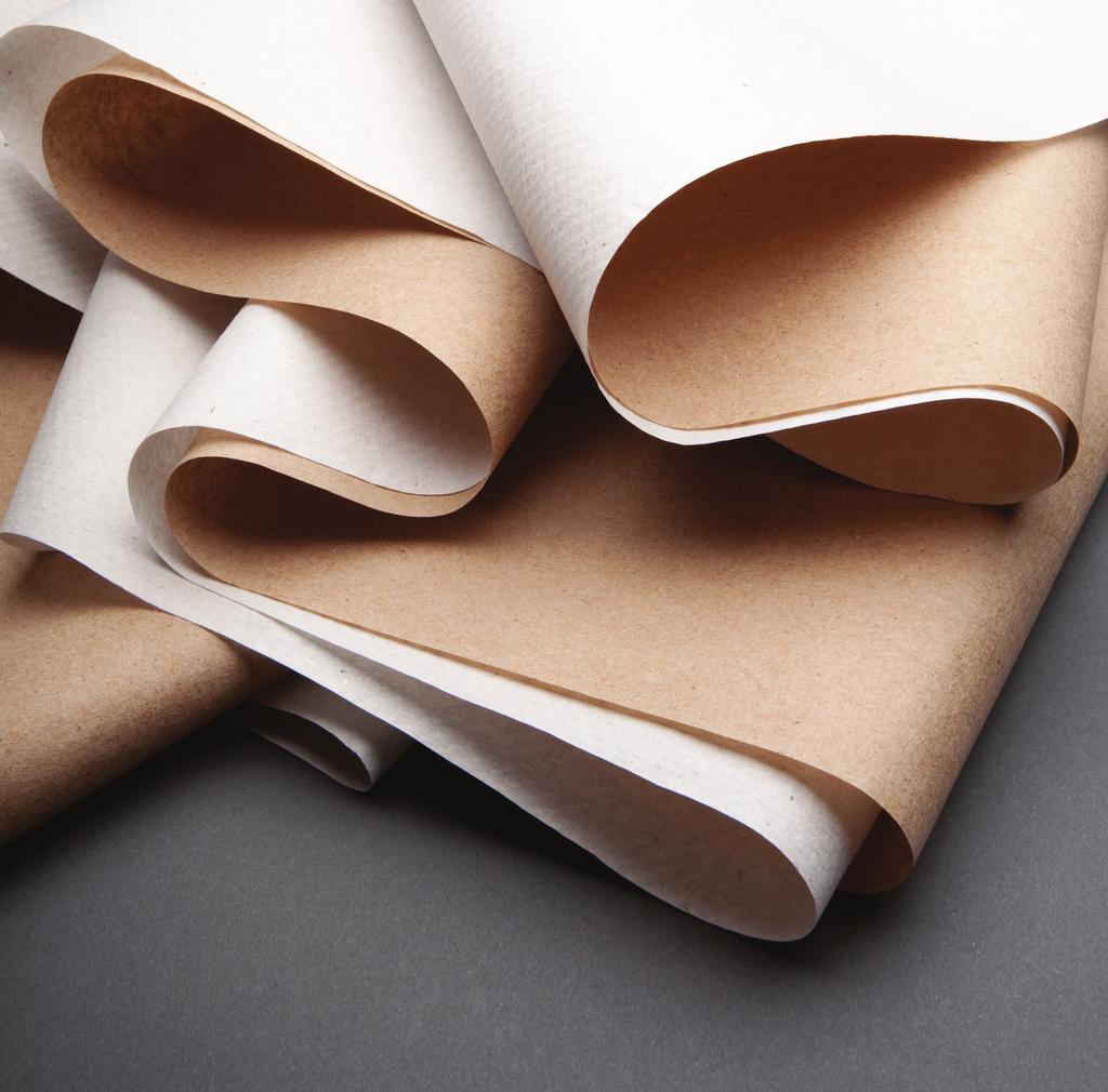 EcoSoft Green Seal 100% Recycled Paper Products 1150 Industry Road PO