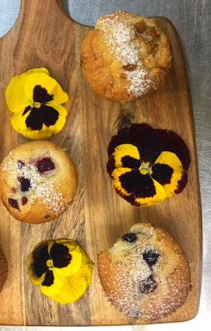 mixed Muffins (Raspberry, Blueberry & Apple Cinnamon) Scones with Jam & Cream