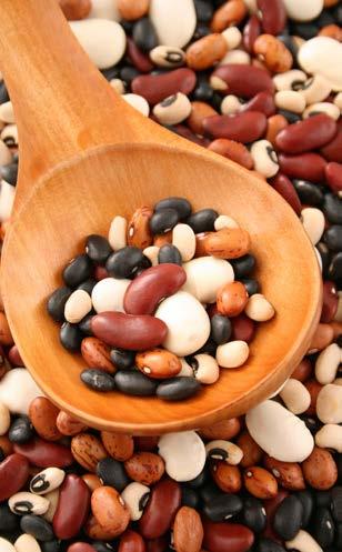 Beans are one of the most commonly eaten foods around the world because of their versatility, nutritional value and cost effectiveness. Many varieties of beans are grown in the U.S.