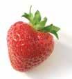E.g Strawberry, Blackberry. Mltiple Frits : A single frit is obtained by an aggregate of many flowers. E.g. pineapple, mlberry.