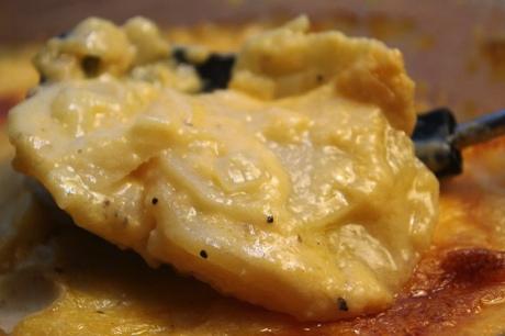 9; Exchanges = 1½ Fat Simple Scalloped Potatoes*** Yield: 10 Servings 3 Tbsp butter 8 baking potatoes, thinly sliced ½ cup flour 1 tsp pepper 1 tsp garlic salt ¼ cup onion, chopped 2 cups cheese,