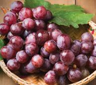 Seedless Grapes Lenten Special