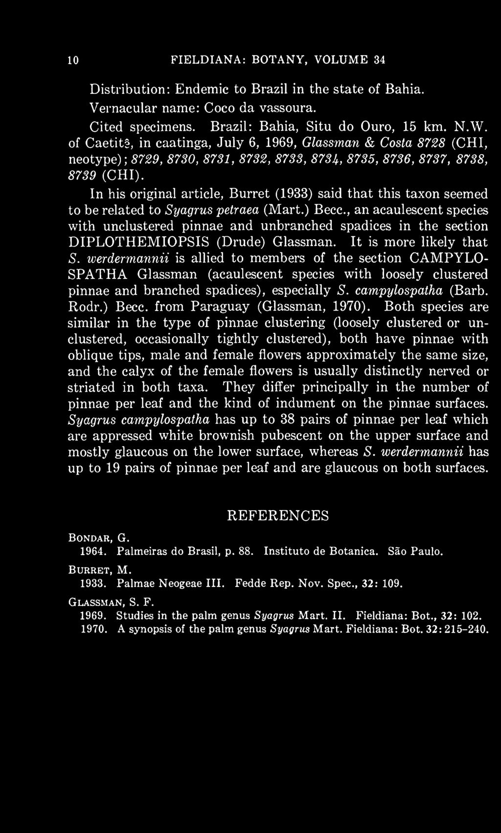 In his original article, Burret (1933) said that this taxon seemed to be related to Syagrus petraea (Mart.) Becc.