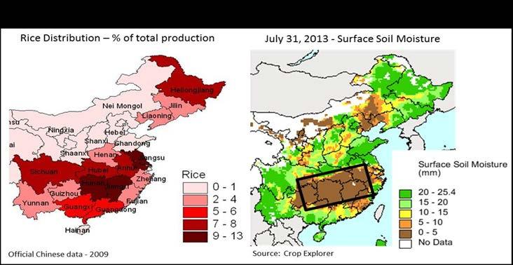 China Rice: Lower Due to Drought in Southern China China s rice production for 2013/14 is estimated at 143.