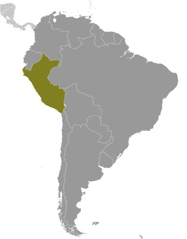 Peru: Latin
