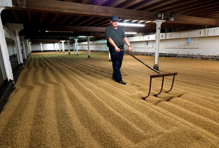 We produce small batch, handcrafted malt using techniques which date back to when the malting floors were built in the 1870 s.