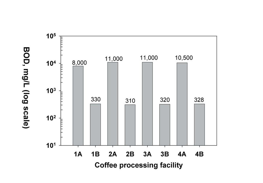 Total soluble phosphorus concentration in the coffee processing waters: (A) before treatment,