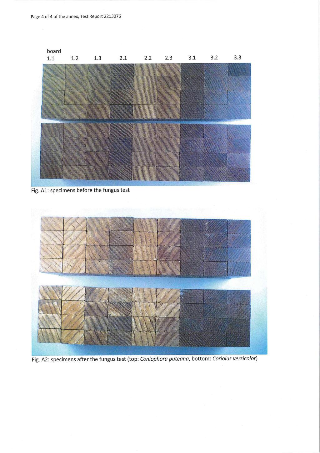 Page 4 of 4 of the annex, Test Report 2213076 board 1.1 1.2 1.3 2.1 2.2 2.3 3.1 3.2 3.3 Fig.