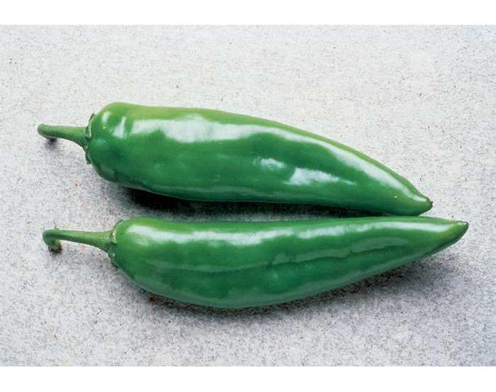 Anaheim Chili Pepper 75 Days One of the most popular chili peppers.