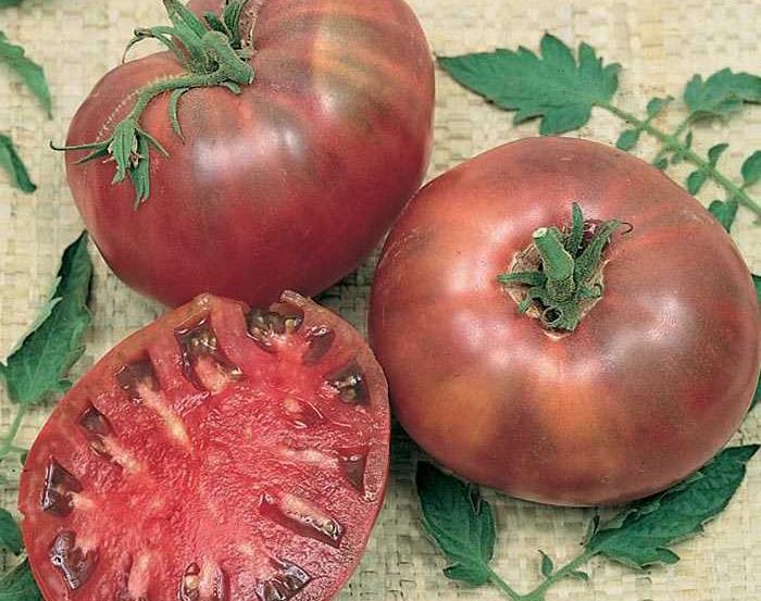 Cherokee Purple Tomato 80-90 Days A reliable producer of unusual, medium pinkpurple fruits that appear brown in color, and average 8 to