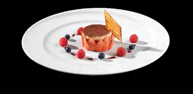 dinnerware 38-4420 Creamer 8.1 oz. (1/cs) Rectangular Plates 38-0209 Salad 7.6" (6/cs) 38-0226 Luncheon 10" (6/cs) 38-0231 Chop 12" (6/cs) 38-0229 Charger 13.