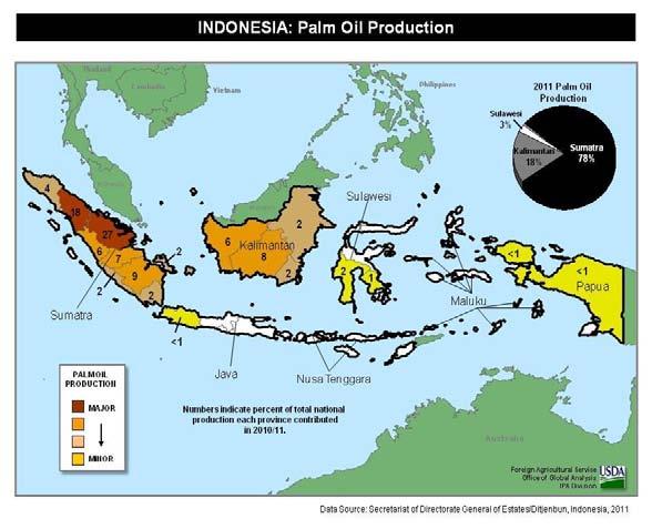 Indonesia Palm Oil: Growth to Continue for 2012/13 Indonesia s 2011/12 palm oil production is forecast at 25.9 million tons, up 0.5 million or 2 percent from last month.