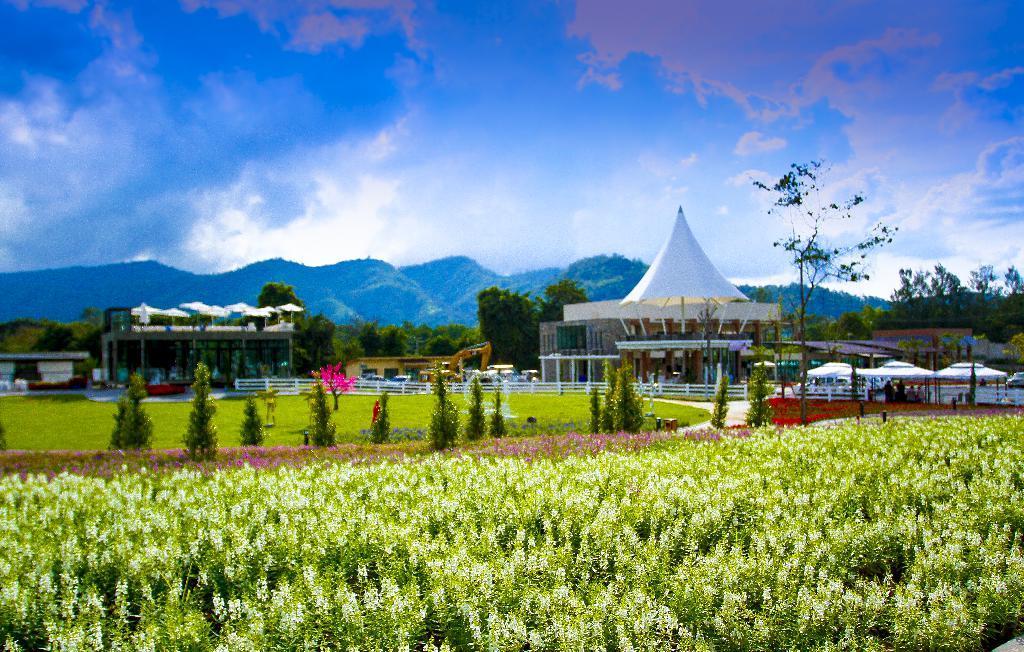 The Bloom by tvpool Nestled in the heart of Khao Yai National Park, The Bloom Hotel by TV Pool is an ideal spot from which to discover Khao Yai.