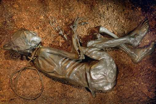 The body of Tollund Man, a person from Iron Age Denmark.