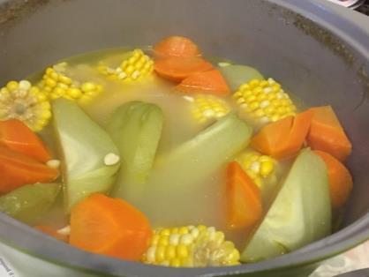 Suggested Points for Discussion for Chayote, Carrot and Corn Soup Chayote, carrot, and corn are vegetables and are sources of vitamins, minerals and fibre Soup contains water which is