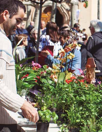 ELCIEGO/ZIEKO APRIL Flower and market garden produce fair A market is organized in which visitors can purchase different types of products, ranging from flowers and fruits to horticultural plants or