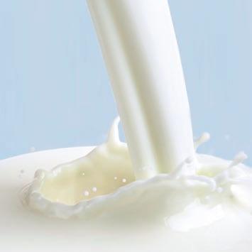 Neutral milk products Hydrosol gives desserts textures from light and foamy to creamy, for a pleasant mouth feel.