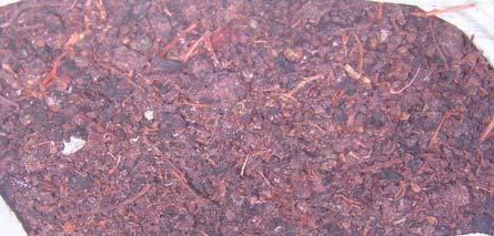 FROM GRAPE POMACE