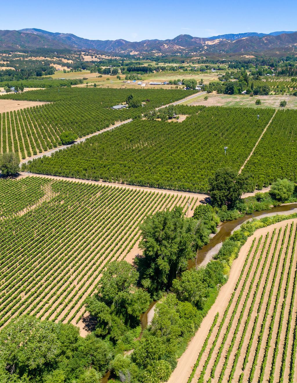 Located in the beautiful Scotts Valley region of Lake County and only minutes from downtown Lakeport, this 275+/- acre pear and grape farm is one of the agricultural jewels of North California s pear