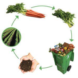 What is compost?