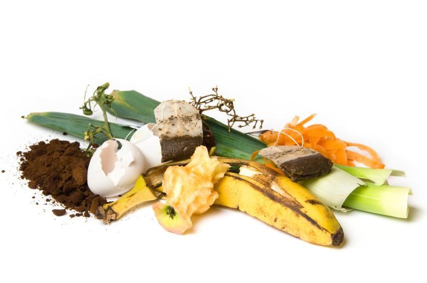 What can be composted?