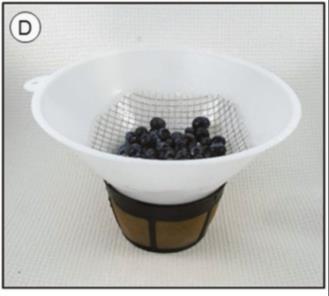 Separate the fruit, and filter the larvae course