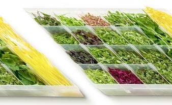 Nutrients Assessment Objective: to analyze the concentration of vitamins and carotenoids in 25 commercially available microgreens.
