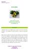 Avocados. Janine Fahri BSc (Hons) MBANT. Nutritional Therapist at NutriLife Clinic.  Description