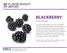 BLACKBERRY FLAVOR INSIGHT REPORT. By the Numbers