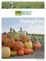 Choosing and caring for your Harris Moran pumpkins