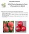 ECPGR Priority Descriptors for Peach [Prunus persica (L.) Batsch]