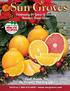 Look Inside For The Perfect Holiday Gift! Celebrating 84 Years Of Sending Florida s Finest Citrus! Toll-Free