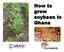 How to grow soybean in Ghana