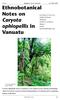 Ethnobotanical Notes on Caryota ophiopellis in Vanuatu