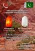 A Perfect Healing Source from Natural Himalayan Rock Salt the world s purest salt
