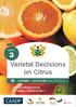Varietal Decisions on Citrus
