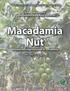Macadamia Nut (Macadamia integrifolia and M. tetraphylla)
