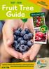 Fruit Tree. Guide Grow your own! FREE. MAGAZINE! Also available online. SHOP ONLINE TODAY!