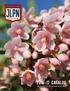 PROPAGATION DBA: LEW S LAKESHORE NURSERY CATALOG THE FOUNDATION FOR GROWING EXCELLENCE