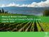 Wines of British Columbia Liberal Party of Canada s Pacific Caucus (July 19, 2016)