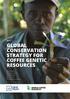 GLOBAL CONSERVATION STRATEGY FOR COFFEE GENETIC RESOURCES. Paula Bramel Sarada Krishnan Daniela Horna Brian Lainoff Christophe Montagnon