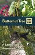 Butternut Tree ONTARIO SPECIES AT RISK. A Landowner s Resource Guide