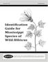 Identification Guide for Mississippi Species of Wild Hibiscus