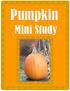 Pumpkin. Mini Study Sample file