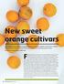 New sweet orange cultivars