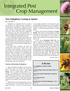 Crop Management. New Endophytes Coming to Market. In This Issue. By Craig Roberts. Varieties with Beneifical Endophytes