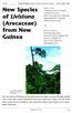 New Species of Livistona (Arecaceae) from New Guinea