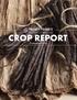CROP REPORT. February 2018