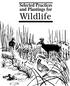 Selected Practices and Plantings for. Wildlife