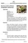 Barstow woolly sunflower (Eriophyllum mohavense)